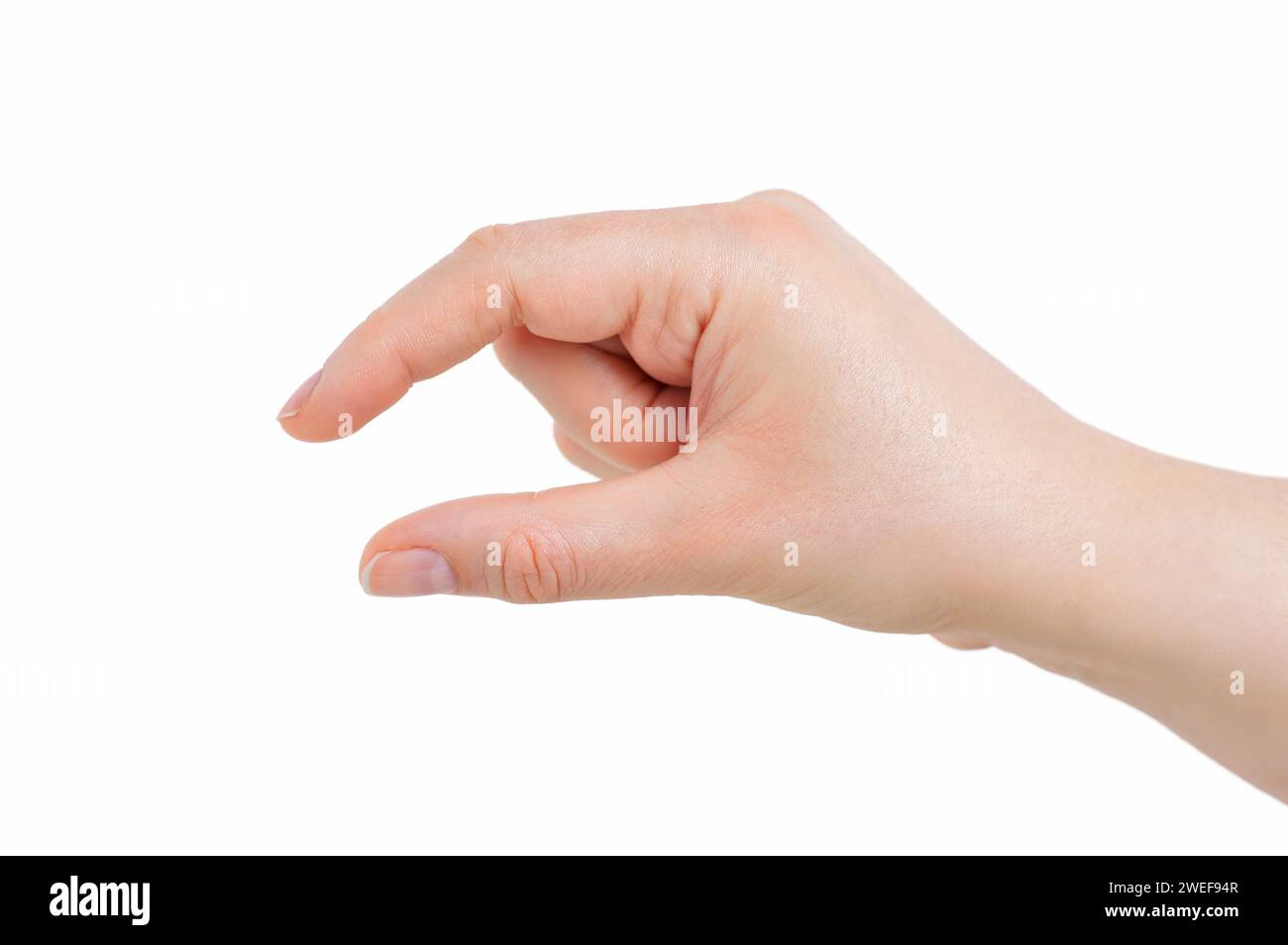 Donna mano azienda alcuni come un oggetto vuoto isolato su uno sfondo bianco Foto Stock