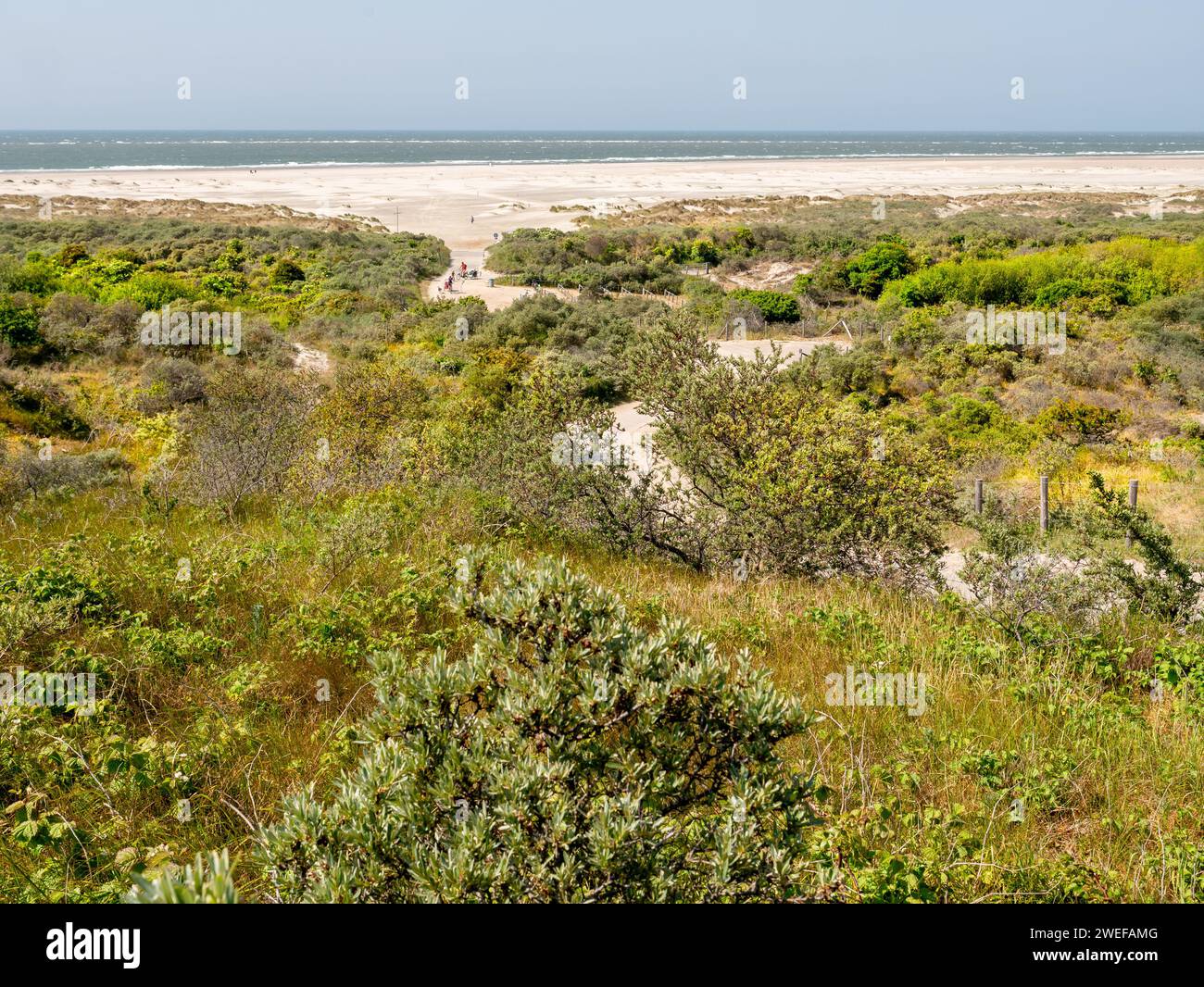 Vista panoramica delle dune, della spiaggia del Mare del Nord e del Duinhoevepad vicino a Renesse su Schouwen-Duiveland, Zelanda, Paesi Bassi Foto Stock