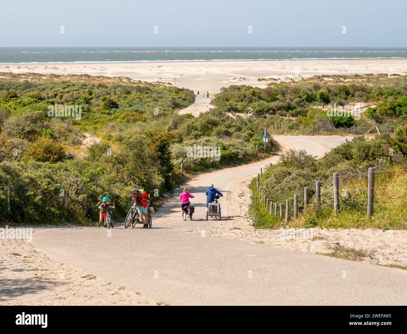 Persone che camminano in bicicletta salendo la ripida collina di Duinhoevepad nelle dune vicino Renesse a Schouwen-Duiveland, Zelanda, Paesi Bassi Foto Stock