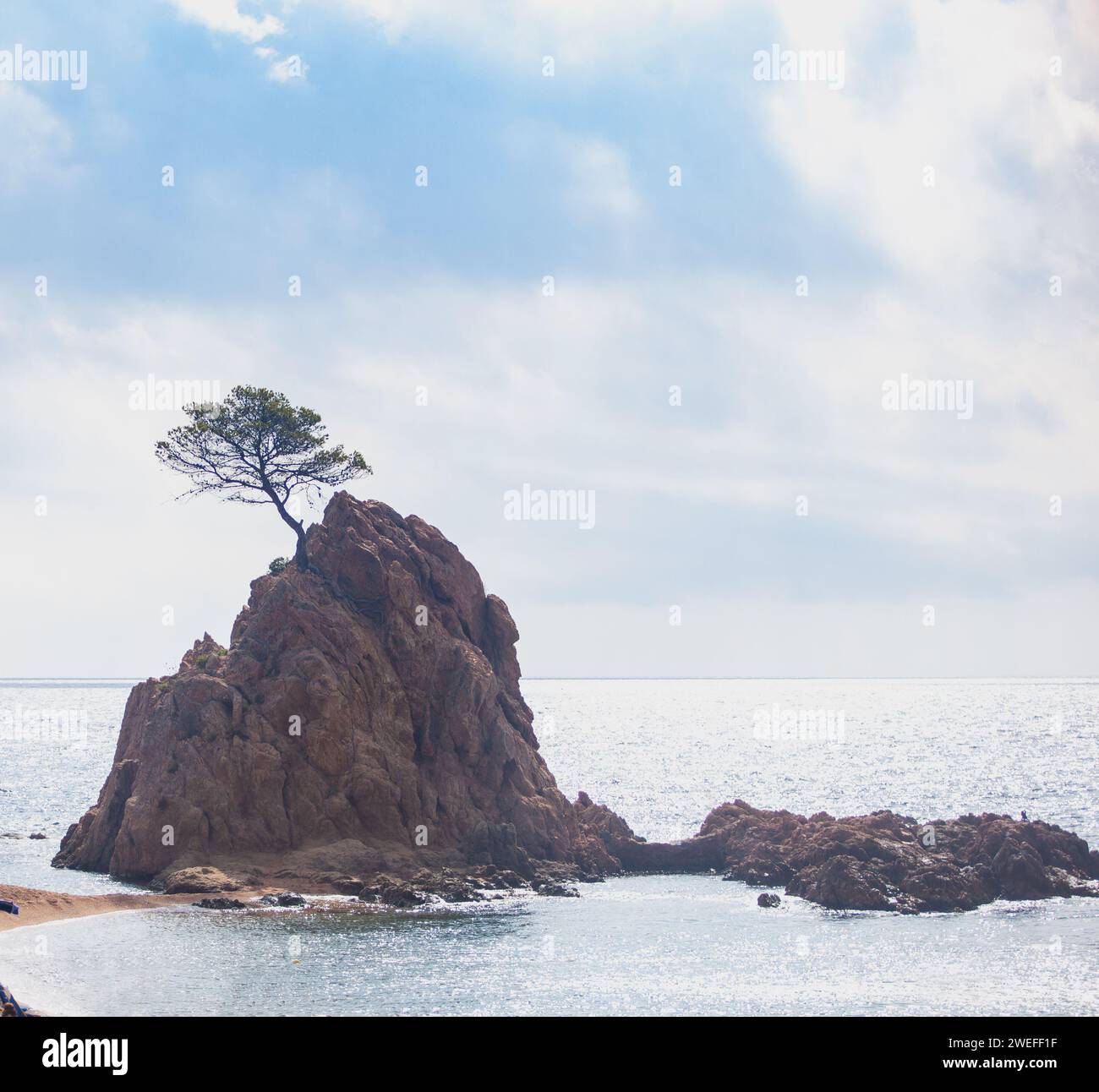 costa marina, località, montagne, foresta, mare, rocce, sentieri di montagna, turismo, località ecologica, città costiera, fauna selvatica, città costiera spagnola, Tossa de Foto Stock