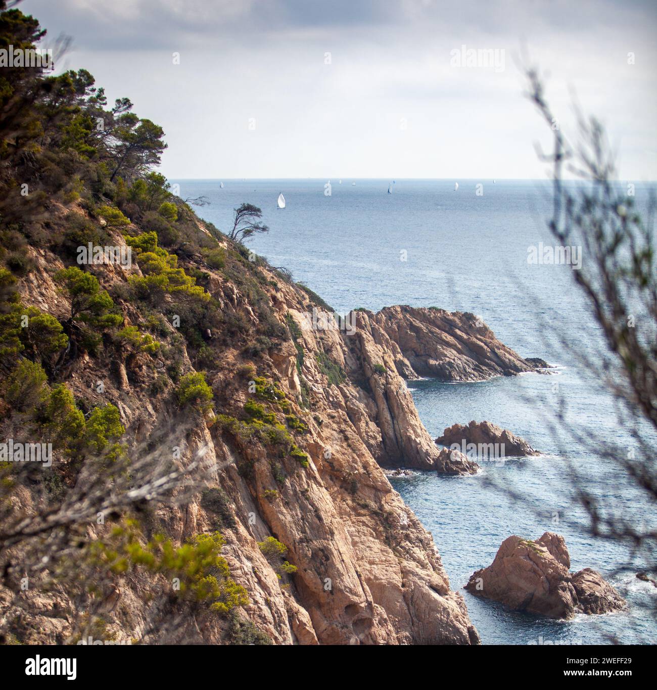 costa marina, località, montagne, foresta, mare, rocce, sentieri di montagna, turismo, località ecologica, città costiera, fauna selvatica, città costiera spagnola, Tossa de Foto Stock
