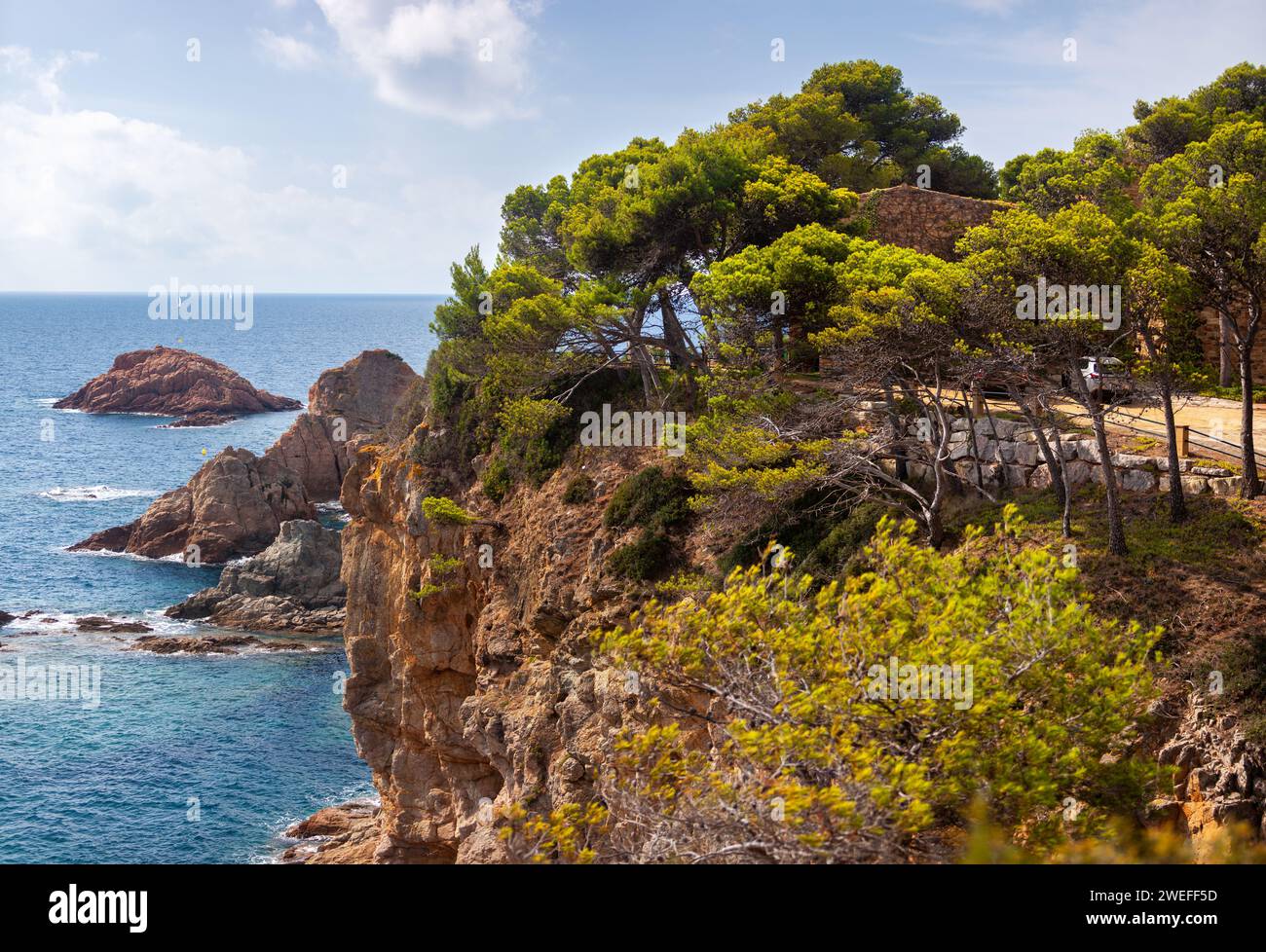 costa marina, località, montagne, foresta, mare, rocce, sentieri di montagna, turismo, località ecologica, città costiera, fauna selvatica, città costiera spagnola, Tossa de Foto Stock