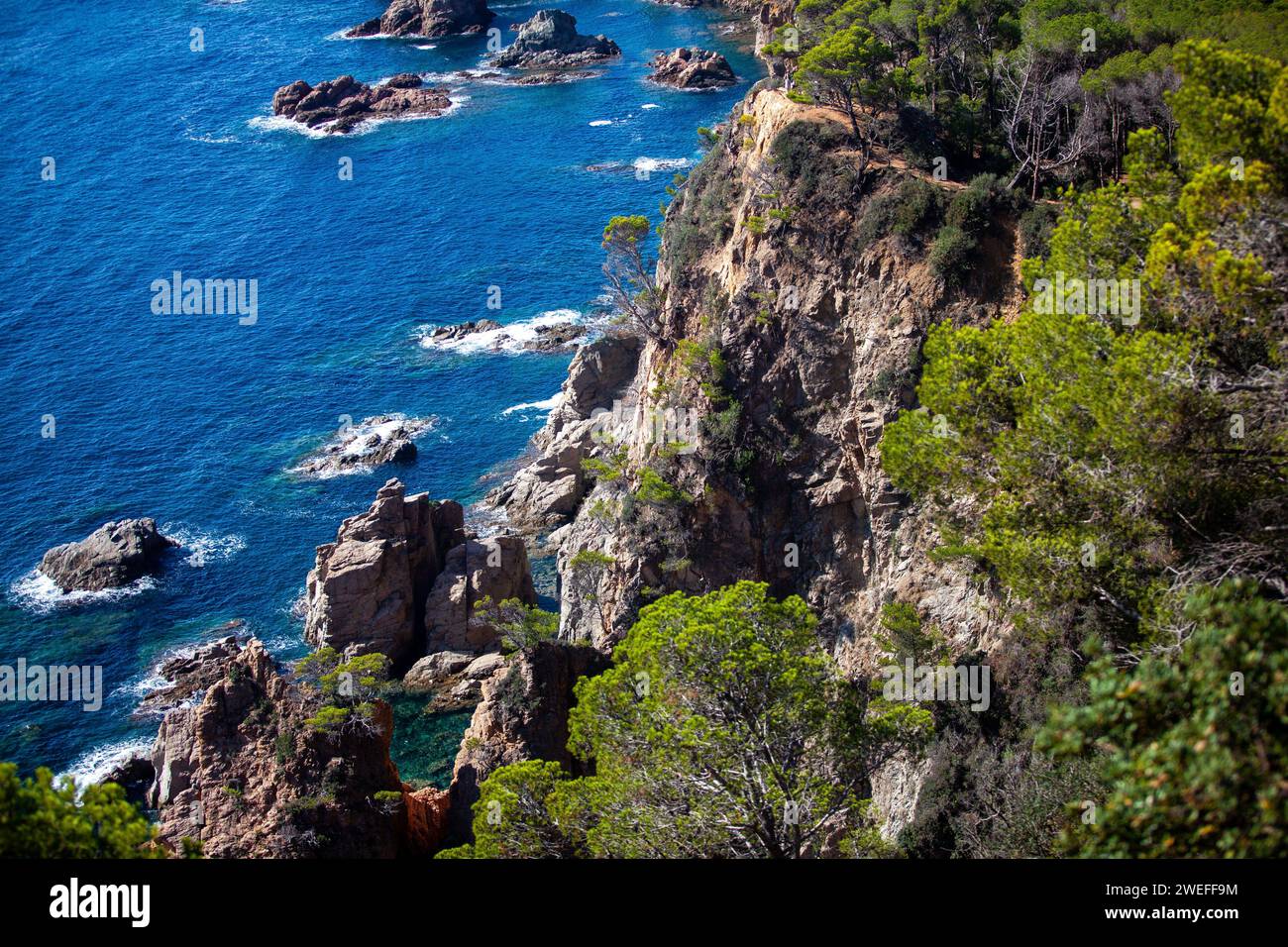 costa marina, località, montagne, foresta, mare, rocce, sentieri di montagna, turismo, località ecologica, città costiera, fauna selvatica, città costiera spagnola, Tossa de Foto Stock