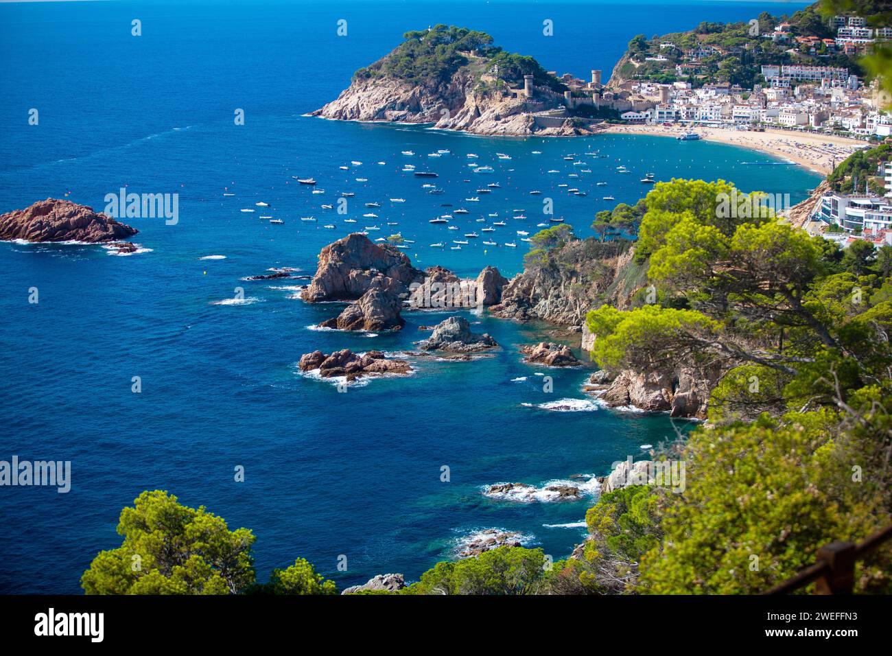 costa marina, località, montagne, foresta, mare, rocce, sentieri di montagna, turismo, località ecologica, città costiera, fauna selvatica, città costiera spagnola, Tossa de Foto Stock
