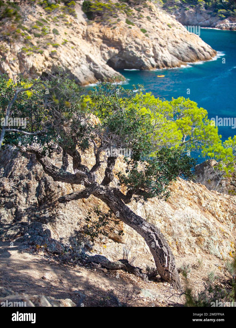 costa marina, località, montagne, foresta, mare, rocce, sentieri di montagna, turismo, località ecologica, città costiera, fauna selvatica, città costiera spagnola, Tossa de Foto Stock