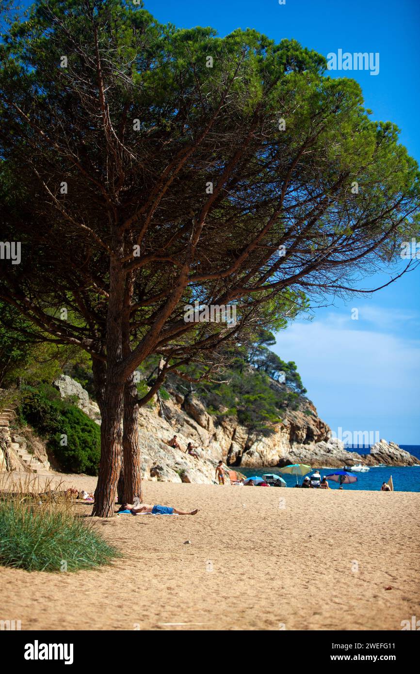 costa marina, località, montagne, foresta, mare, rocce, sentieri di montagna, turismo, località ecologica, città costiera, fauna selvatica, città costiera spagnola, Tossa de Foto Stock