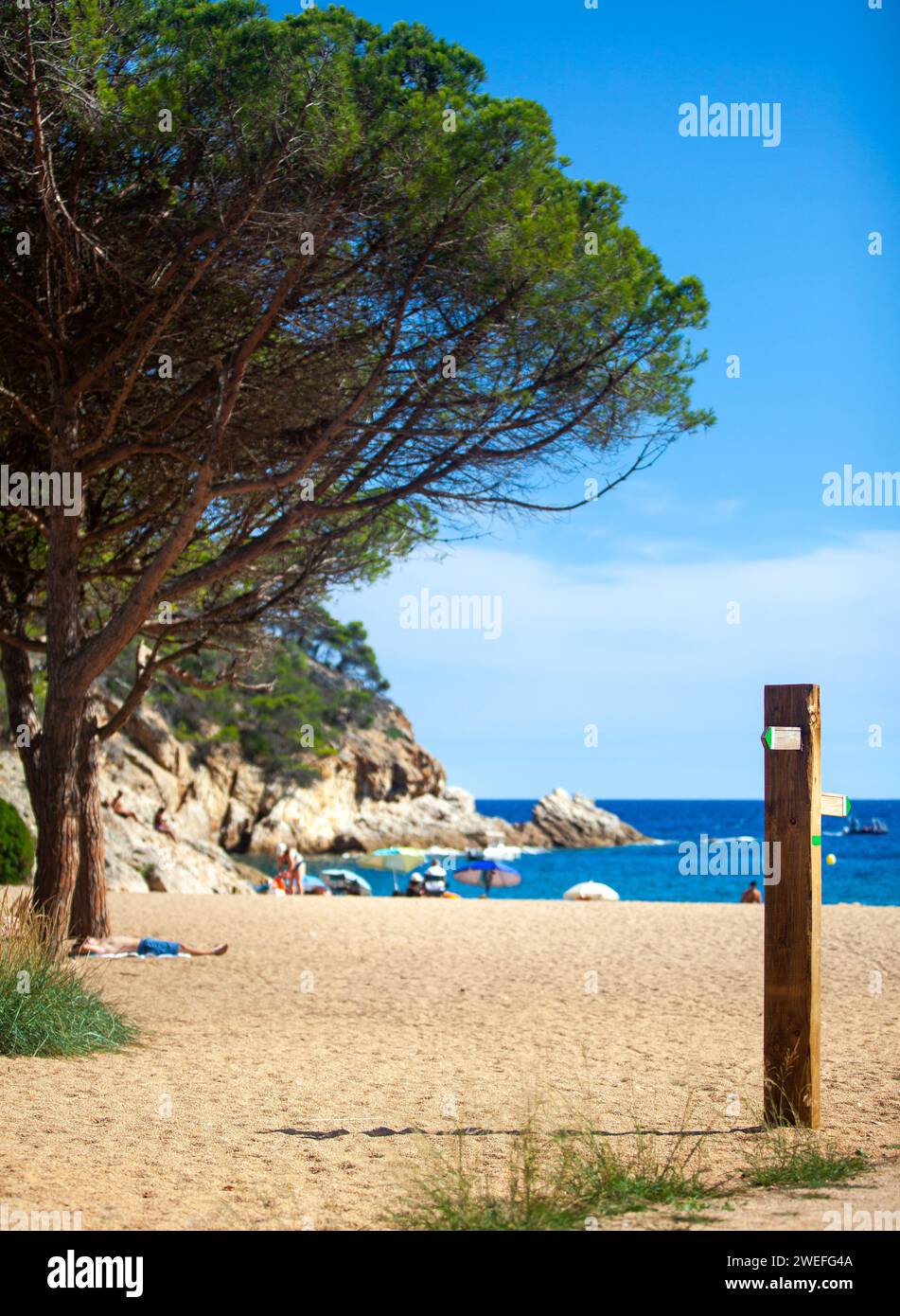 costa marina, località, montagne, foresta, mare, rocce, sentieri di montagna, turismo, località ecologica, città costiera, fauna selvatica, città costiera spagnola, Tossa de Foto Stock