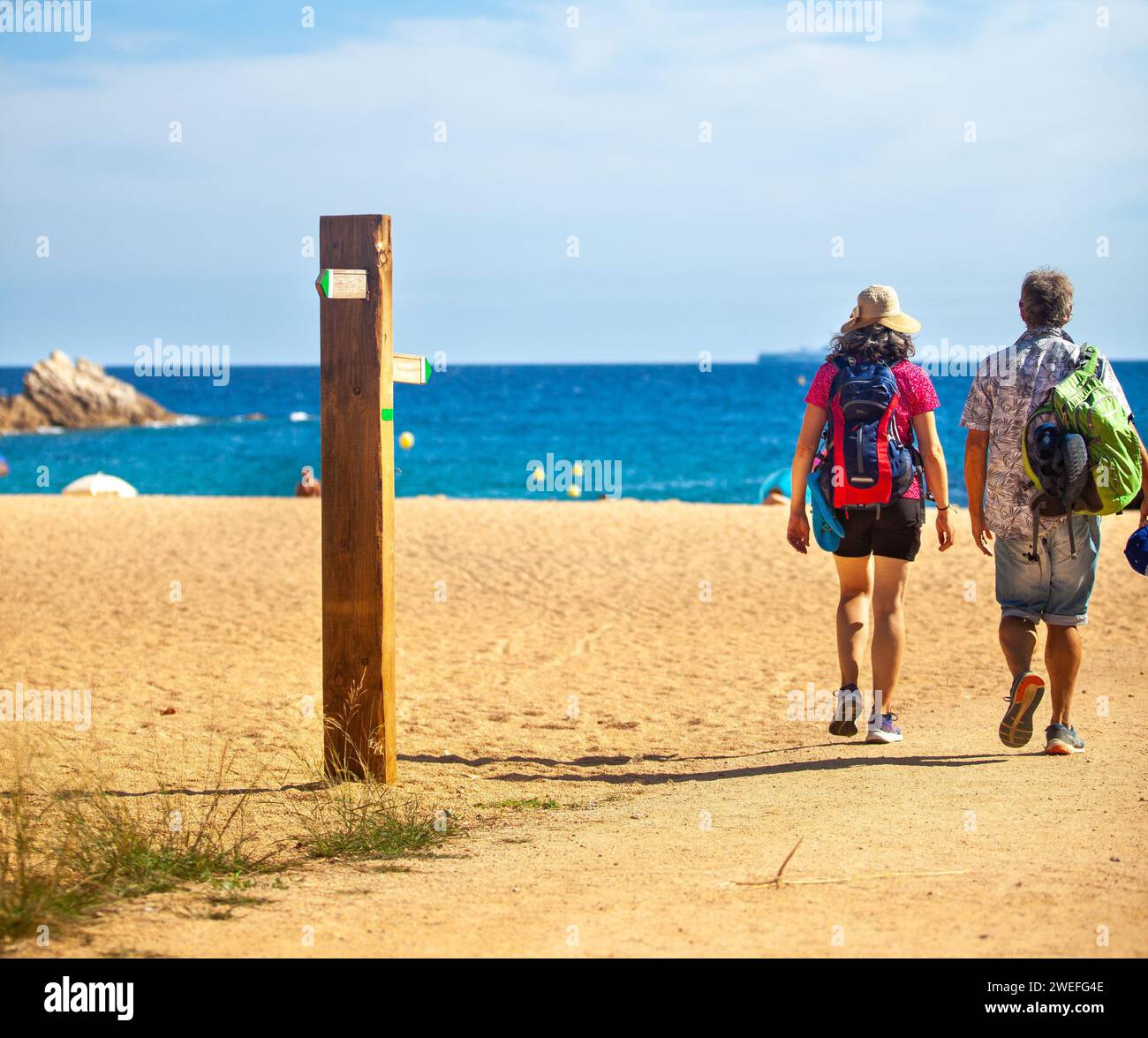 costa marina, località, montagne, foresta, mare, rocce, sentieri di montagna, turismo, località ecologica, città costiera, fauna selvatica, città costiera spagnola, Tossa de Foto Stock