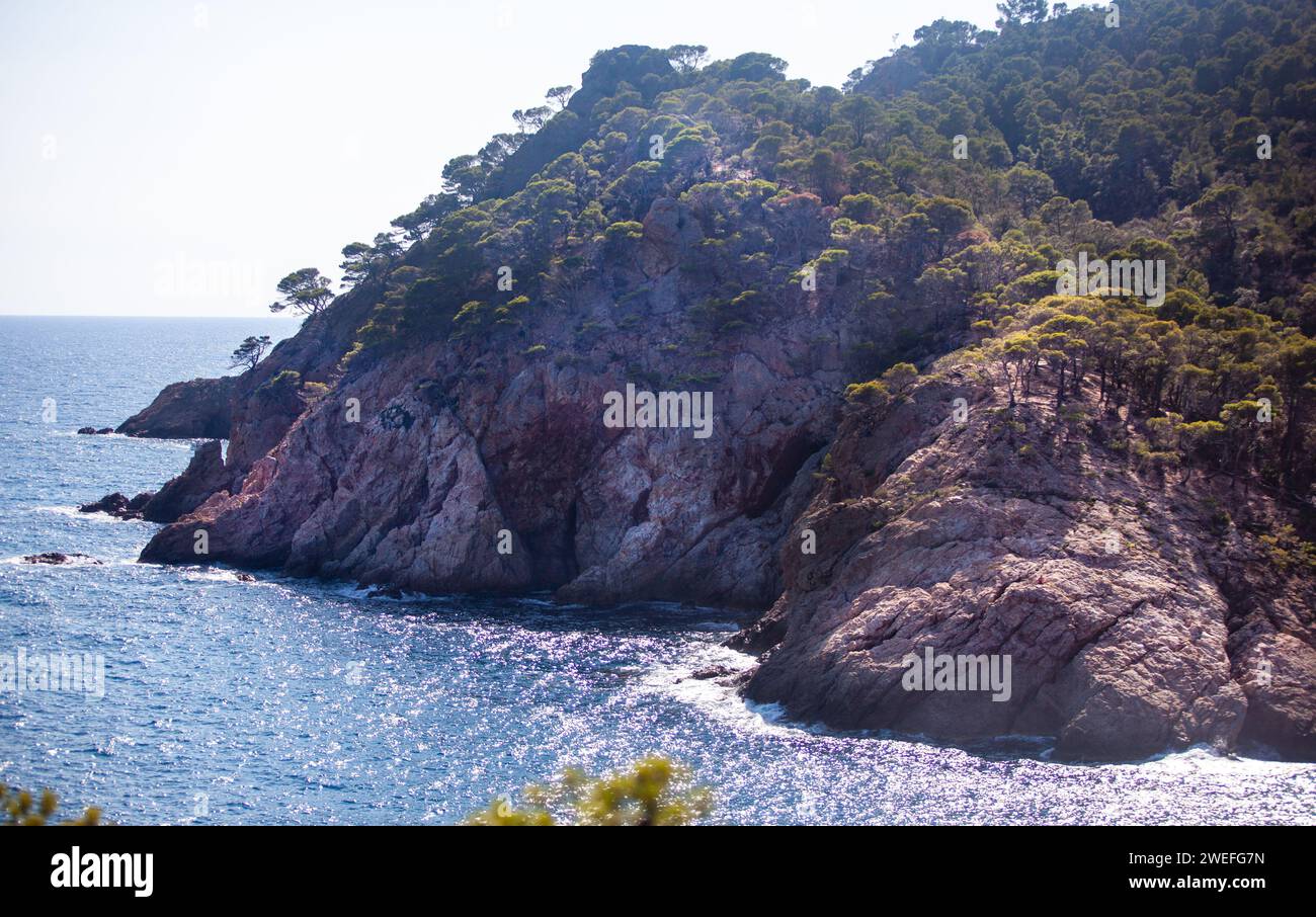 costa marina, località, montagne, foresta, mare, rocce, sentieri di montagna, turismo, località ecologica, città costiera, fauna selvatica, città costiera spagnola, Tossa de Foto Stock