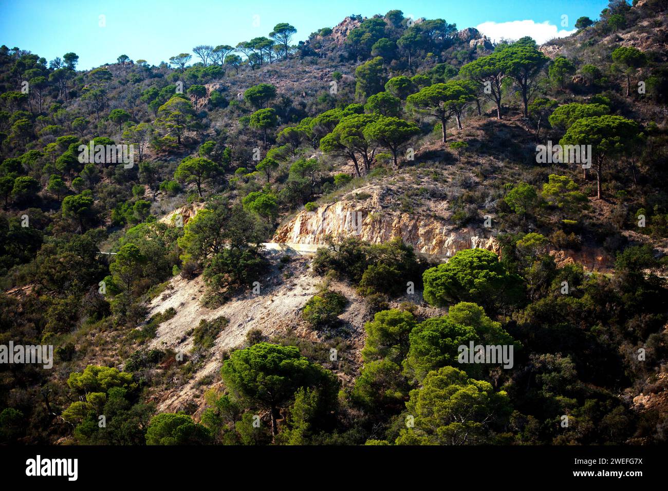 costa marina, località, montagne, foresta, mare, rocce, sentieri di montagna, turismo, località ecologica, città costiera, fauna selvatica, città costiera spagnola, Tossa de Foto Stock