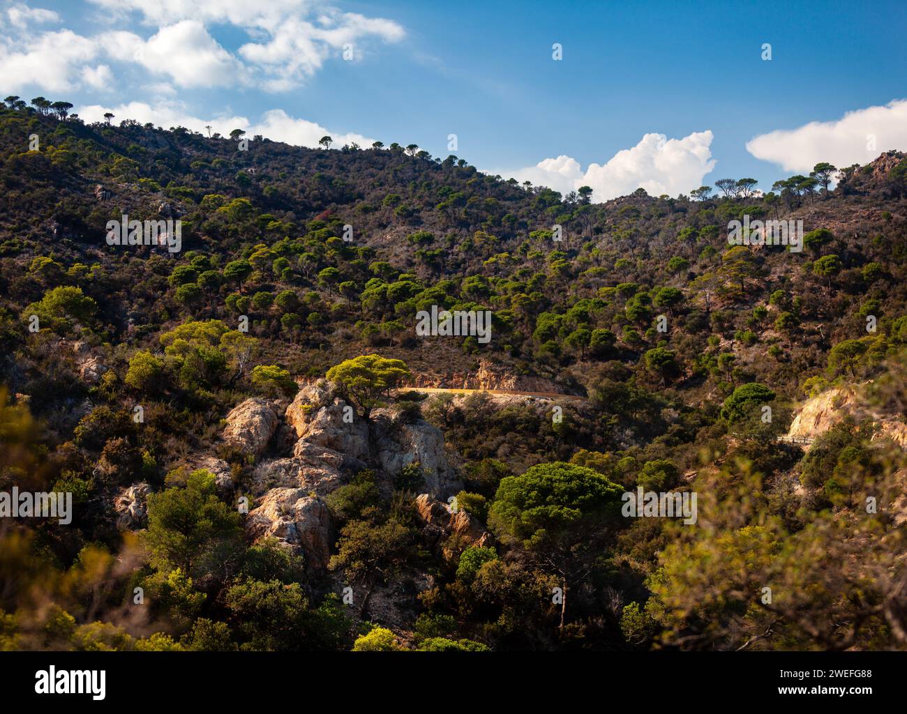 costa marina, località, montagne, foresta, mare, rocce, sentieri di montagna, turismo, località ecologica, città costiera, fauna selvatica, città costiera spagnola, Tossa de Foto Stock