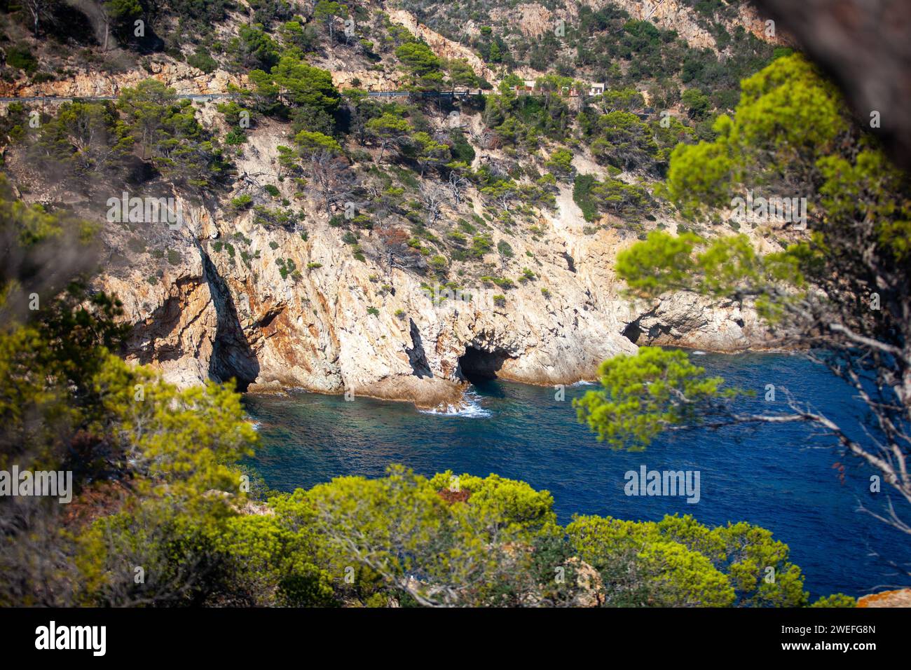 costa marina, località, montagne, foresta, mare, rocce, sentieri di montagna, turismo, località ecologica, città costiera, fauna selvatica, città costiera spagnola, Tossa de Foto Stock