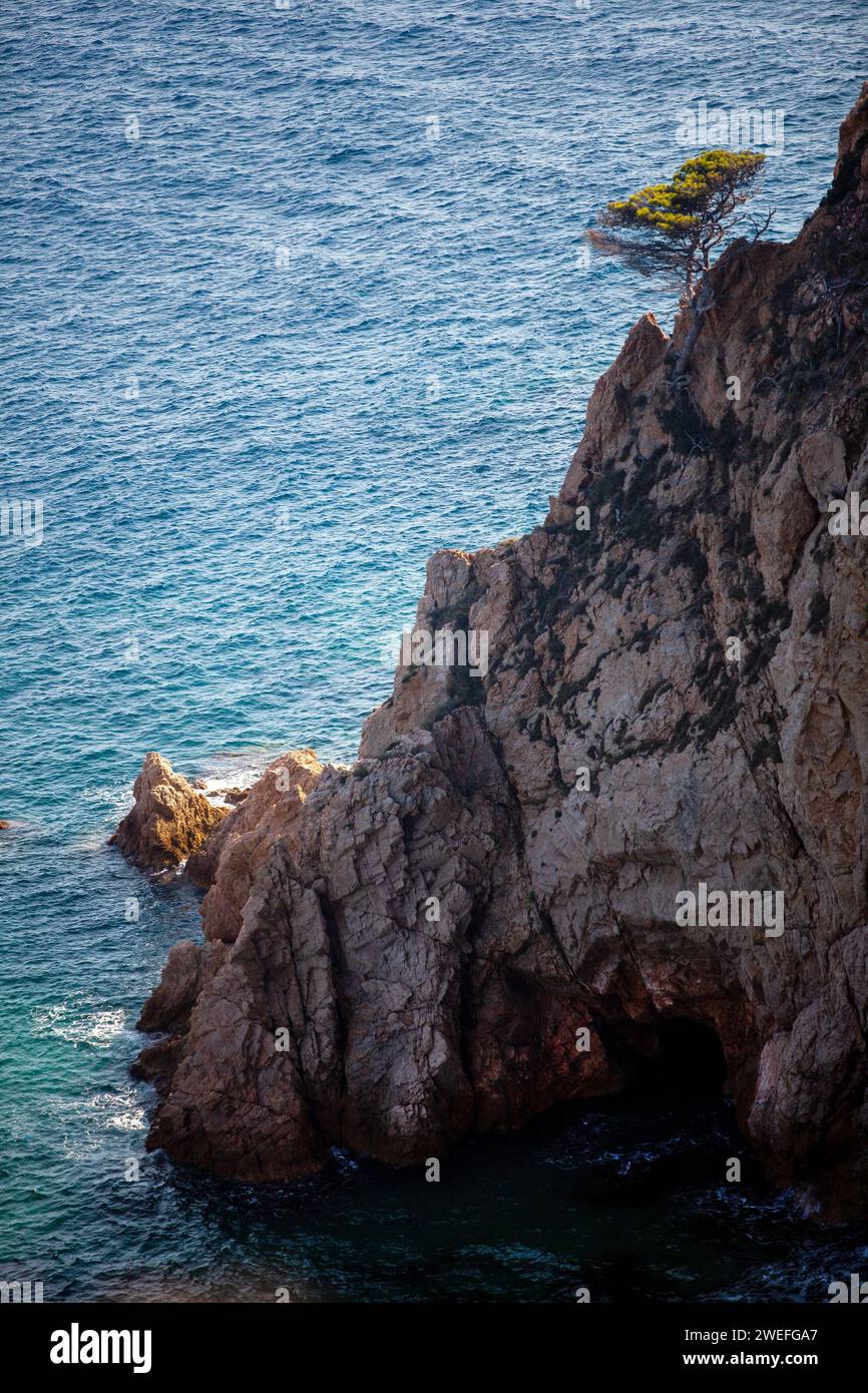 costa marina, località, montagne, foresta, mare, rocce, sentieri di montagna, turismo, località ecologica, città costiera, fauna selvatica, città costiera spagnola, Tossa de Foto Stock
