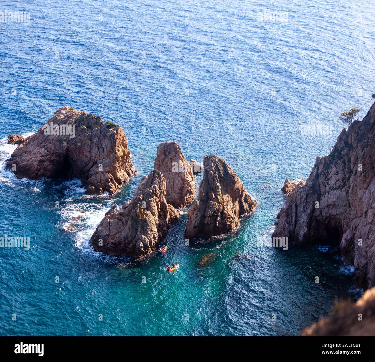 costa marina, località, montagne, foresta, mare, rocce, sentieri di montagna, turismo, località ecologica, città costiera, fauna selvatica, città costiera spagnola, Tossa de Foto Stock