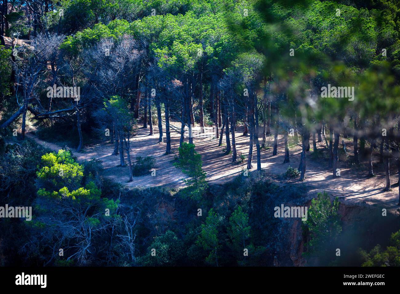 costa marina, località, montagne, foresta, mare, rocce, sentieri di montagna, turismo, località ecologica, città costiera, fauna selvatica, città costiera spagnola, Tossa de Foto Stock