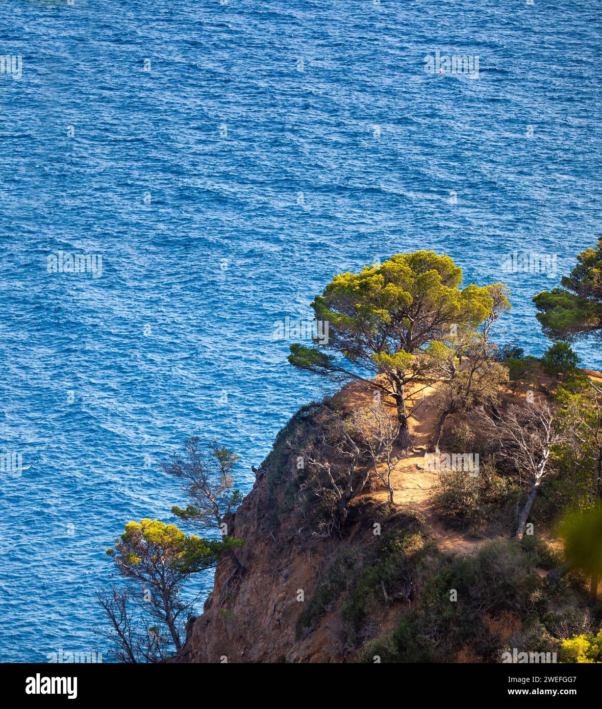 costa marina, località, montagne, foresta, mare, rocce, sentieri di montagna, turismo, località ecologica, città costiera, fauna selvatica, città costiera spagnola, Tossa de Foto Stock