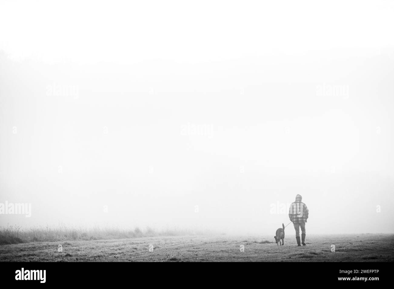 Passeggia per il cane in una mattina nebbiosa Foto Stock
