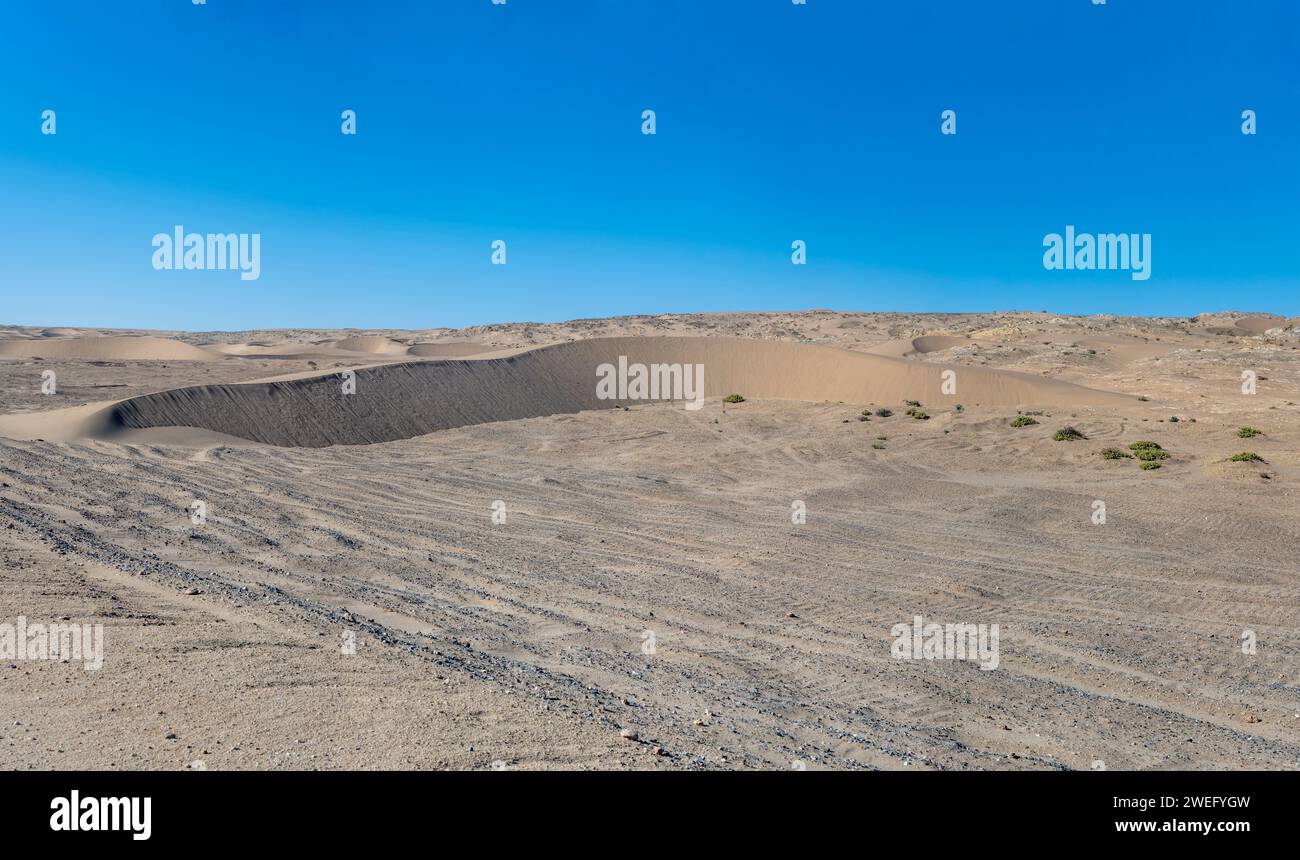 Paesaggio con dune di sabbia nel deserto di Sperrgebiet, girato in tarda primavera vicino a Luderitz, Namibia, Africa Foto Stock