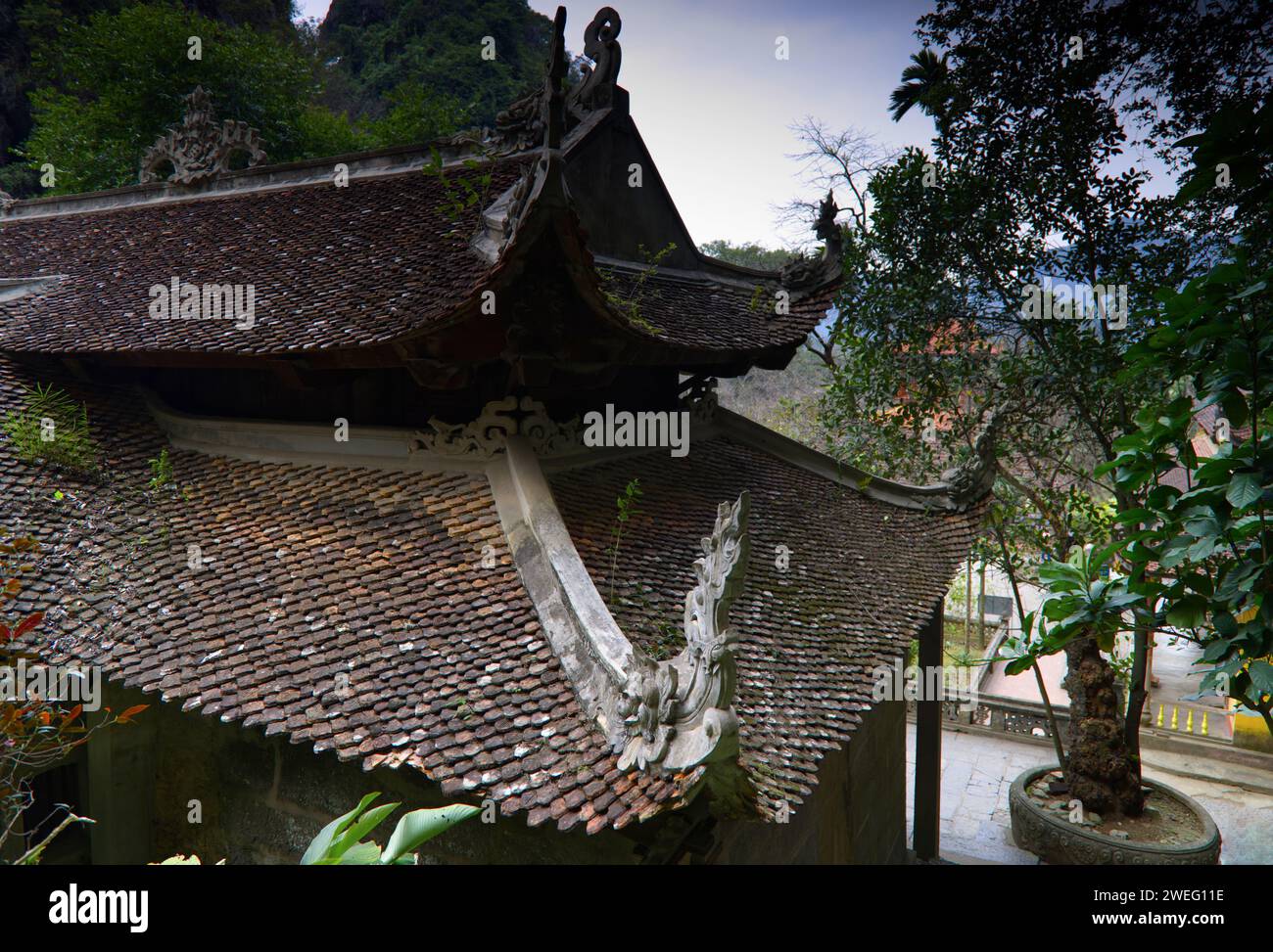 Dettaglio della Pagoda di Bich Dong, Pagoda di Bich Dong, Vietnam Foto Stock