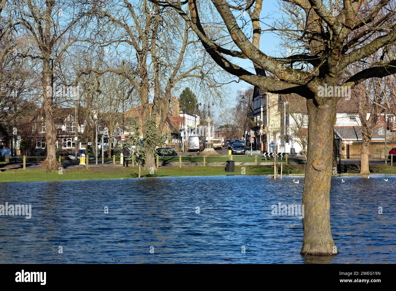 Un Manor Park allagato causato da tempeste invernali a Shepperton in una giornata invernale soleggiata nel Surrey, Inghilterra, Regno Unito Foto Stock