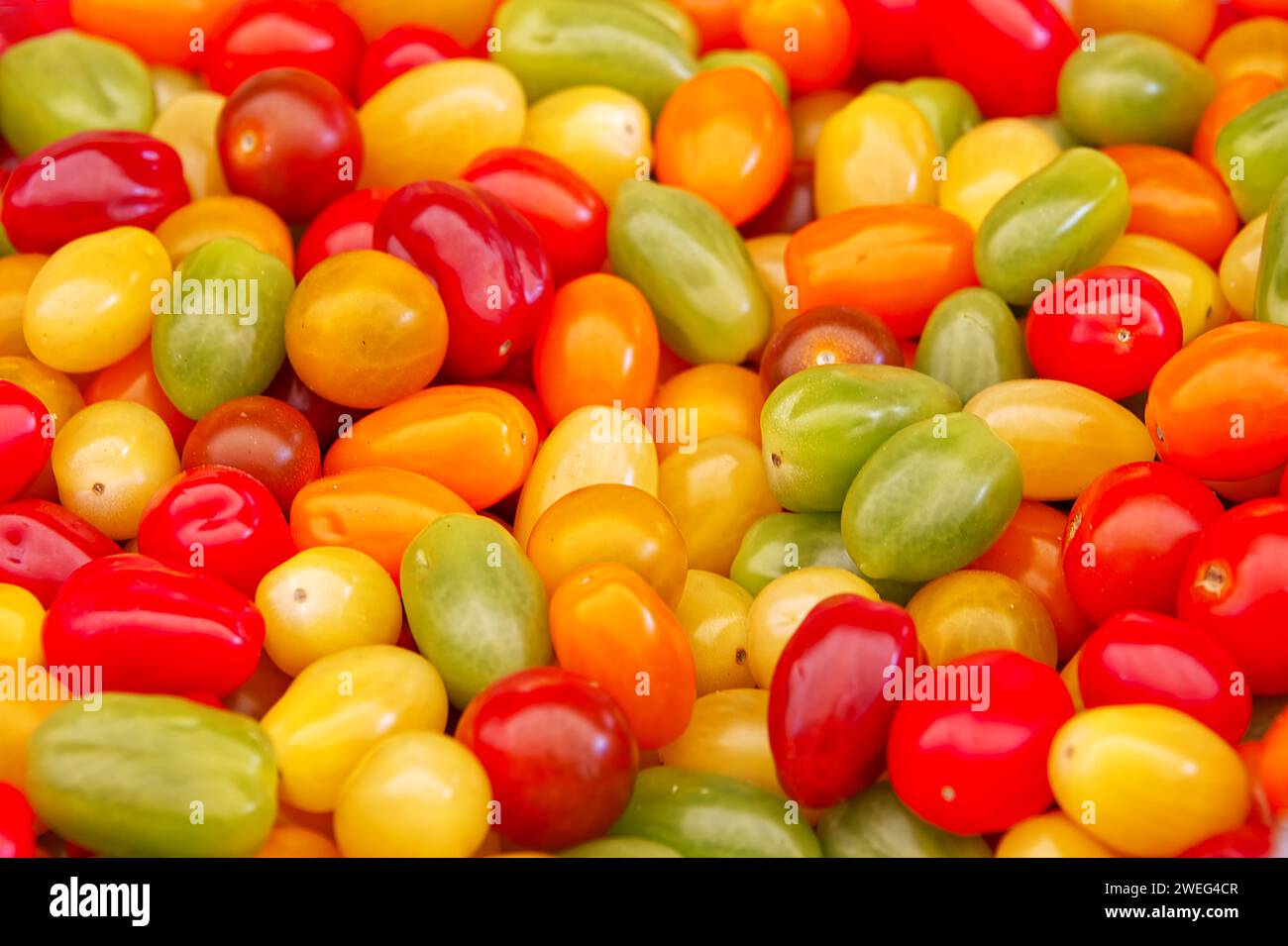 Primo piano di pomodori piccoli in molti colori diversi in abbondanza Foto Stock