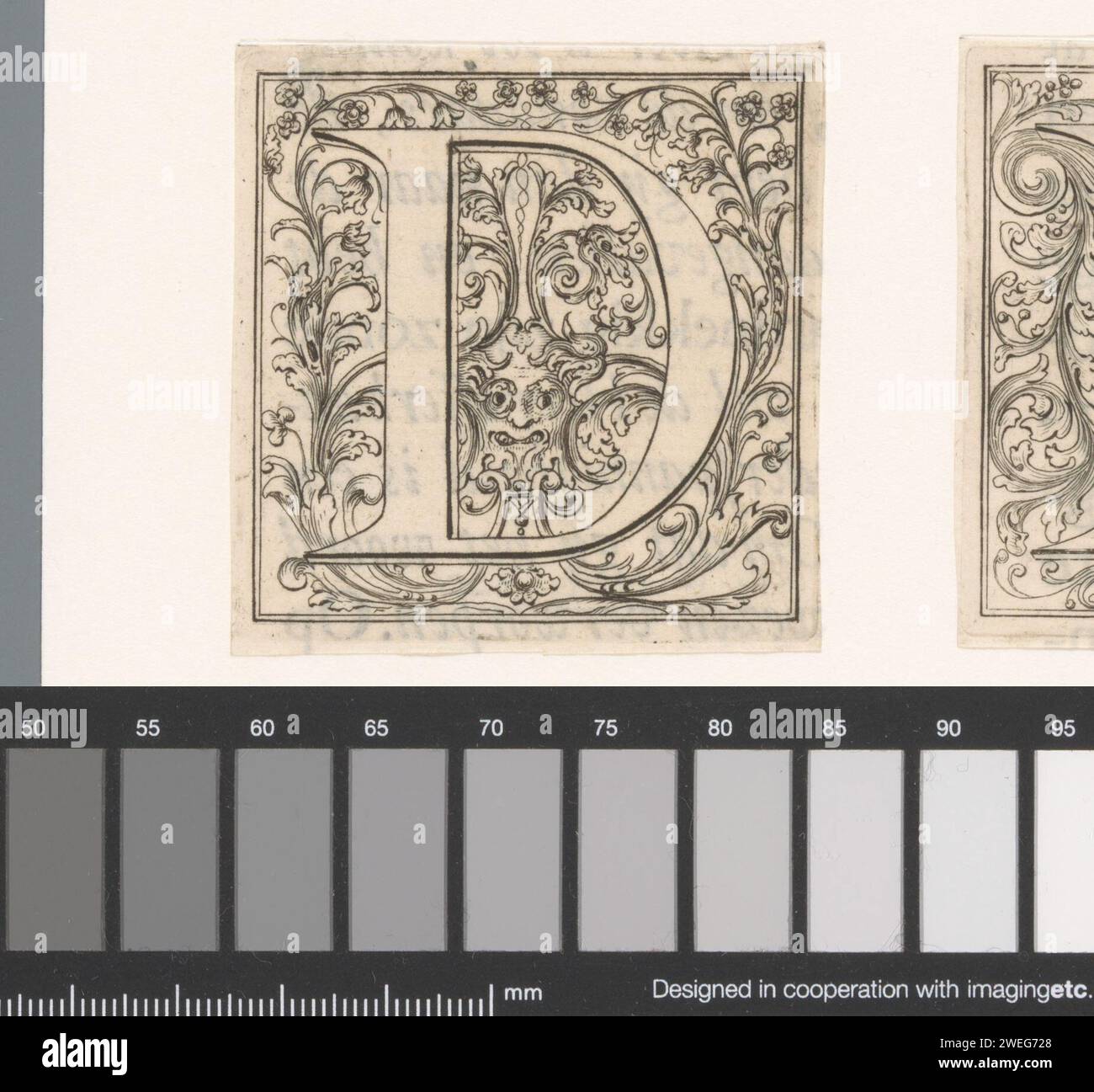 Lettera D, anonimo, 1700 - 1799 stampa lettera D su sfondo con treccia e maschera. incisione della carta/stampa letterpress di lettere di qualità Foto Stock