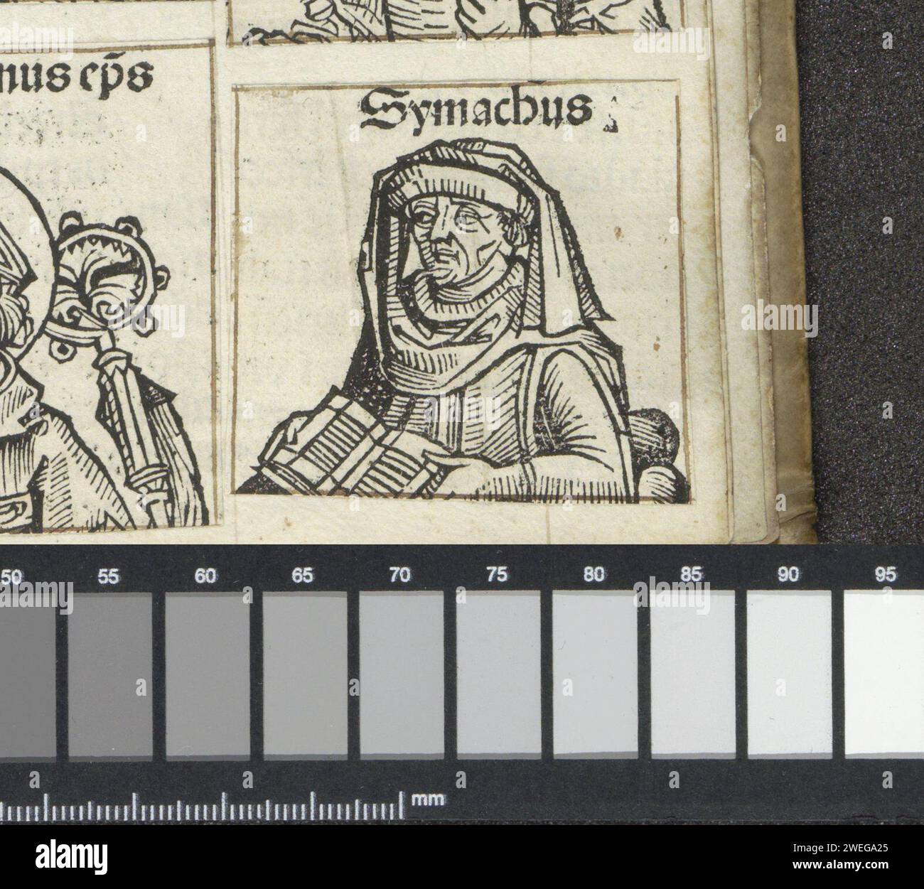 Quintus Aurelius Symmachus, Michel Wolgemut (laboratorio di), 1493 stampa Un calice di fiori con un uomo di lettura. Indossa un cappuccio sulla testa. Il testo lo identifica come Quinto Aurelio Memmio Simmaco. La stampa fa parte di un album. carta letterpress stampa lettura Foto Stock