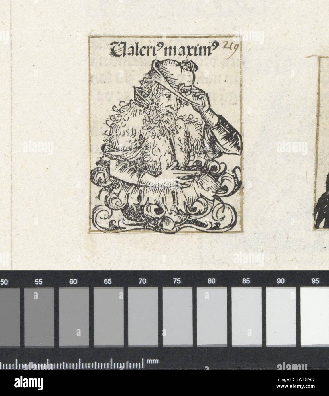 Valerius Maximus, Michel Wolgemut (laboratorio di), 1493 stampare Un calice di fiori con un uomo, girato a destra. L'uomo ha il cappello con la mano sinistra. Il testo lo identifica come lo scrittore Valerio massimo. La stampa fa parte di un album. carta tipografica che stampa uomini di storia classica. scrittore, poeta, autore Foto Stock