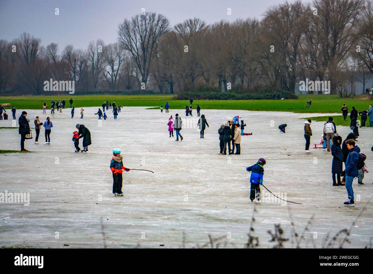 I prati del Reno vicino a Düsseldorf-Niederkassel, le piste di ghiaccio dopo le inondazioni, a causa dell'innalzamento delle acque sotterranee dietro la diga del Reno, divertimento invernale, pattinaggio su ghiaccio, NR Foto Stock