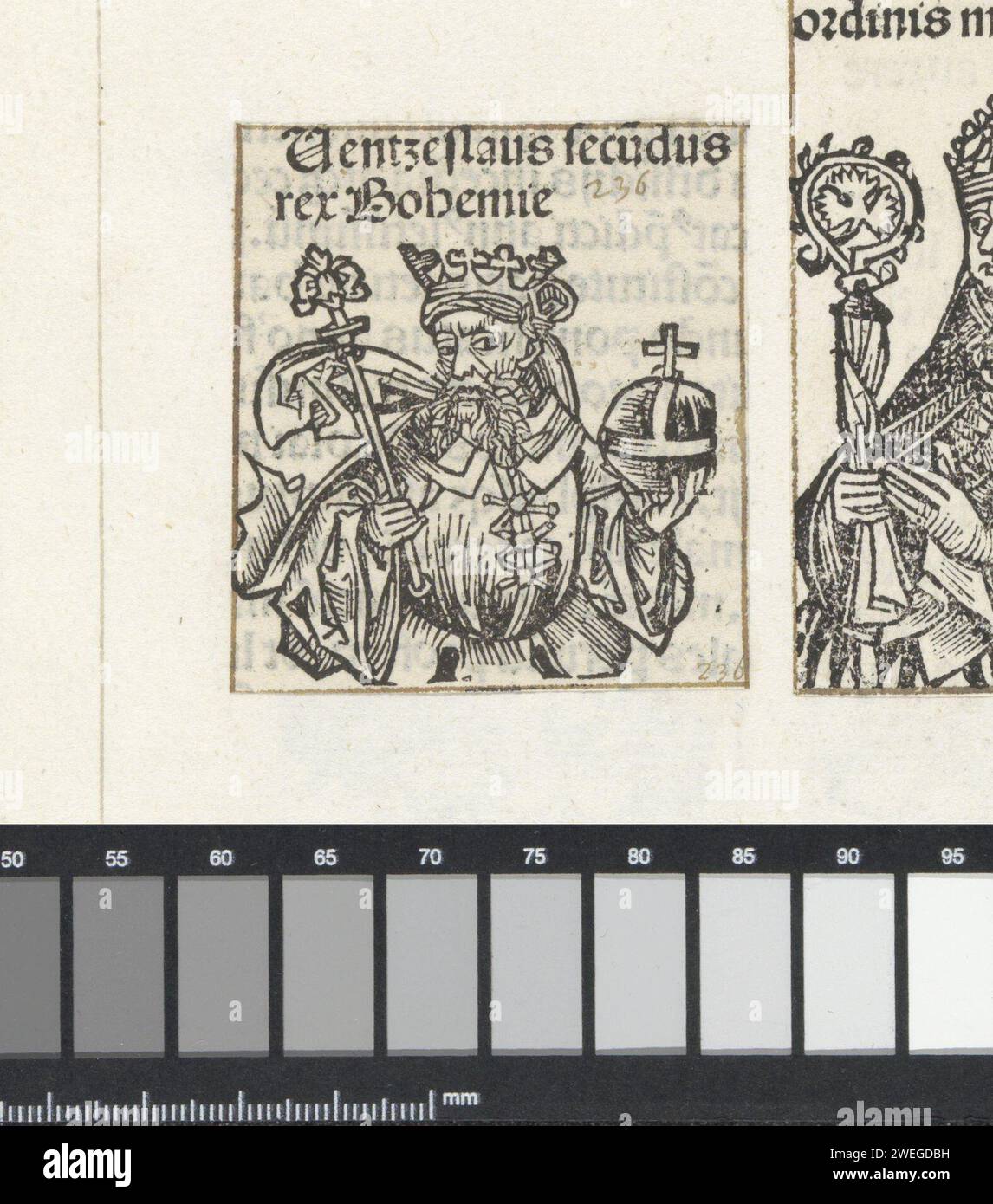 Re Venceslao II van Bohemen, Michel Wolgemut (laboratorio di), 1493 stampare Un calice di fiori con un re. Ha uno scettro e una mela del governo nelle sue mani. Il testo identifica l'uomo come Venceslao II di Boemia. La stampa fa parte di un album. carta da lettera per la stampa king Foto Stock