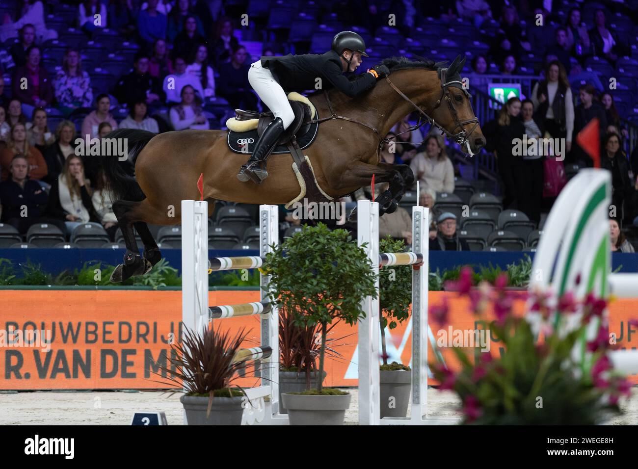 Amsterdam, Paesi Bassi - 25 gennaio 2024. Logan Fletcher dei Paesi Bassi guida il suo cavallo, D-Iness Z, attraverso la Speed Class di 1,40 m il primo giorno di Jumping Amsterdam presso il RAI Centre. Mark Spowart/Alamy Live News. Foto Stock