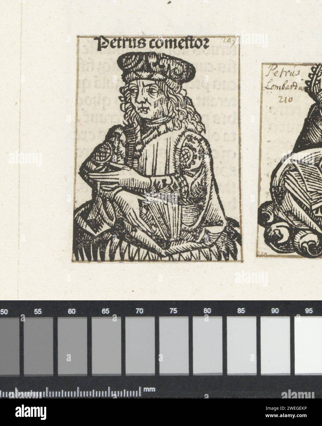 Petrus Comestor, Michel Wolgemut (Workshop of), 1493 stampa Un calice di fiori con un uomo ricco. Ha un libro in mano. Il testo identifica l'uomo come Peter Lombardus. La stampa fa parte di un album. carta stampa letterpress Foto Stock