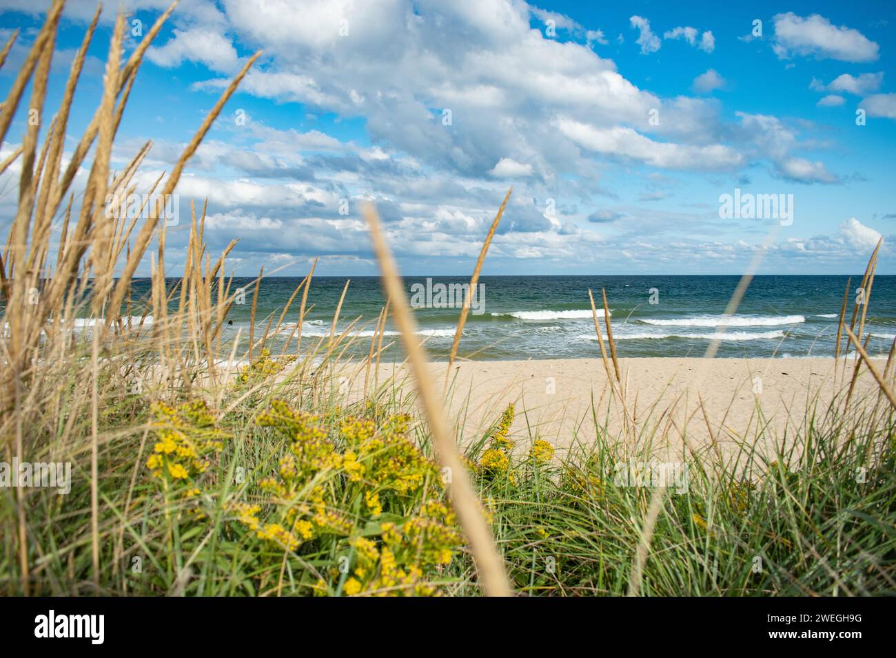 Spiaggia di Cape Cod Foto Stock