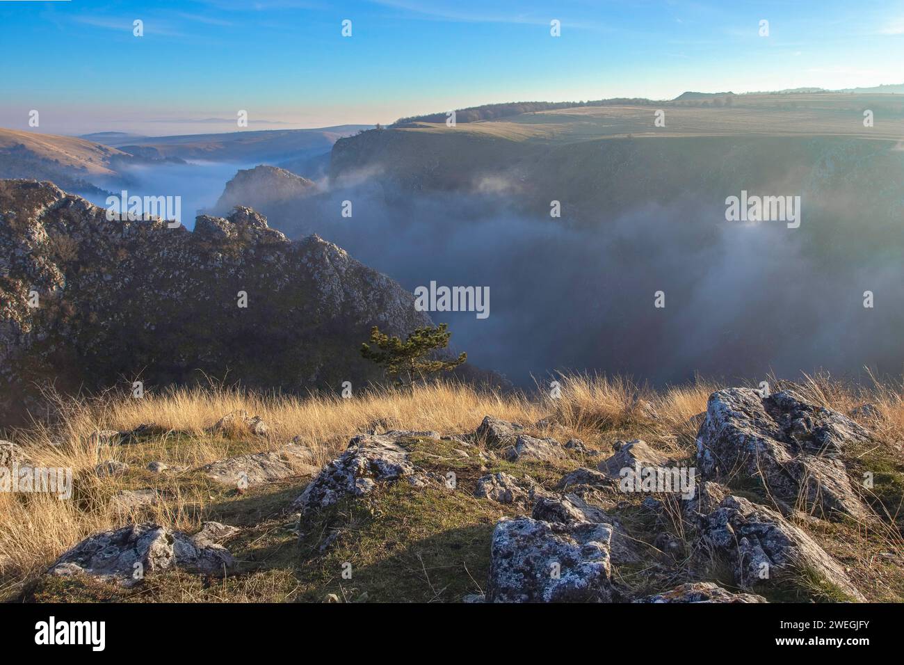 Nuota sopra il torrente calcareo, Cheile Tureni, Transilvania, splendide gole selvagge Foto Stock