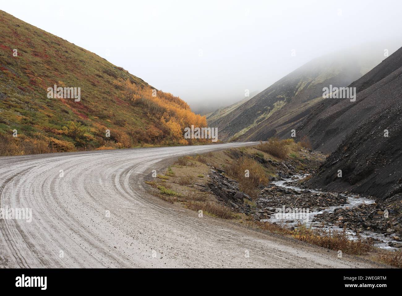 Fango e nebbia nello Yukon Foto Stock