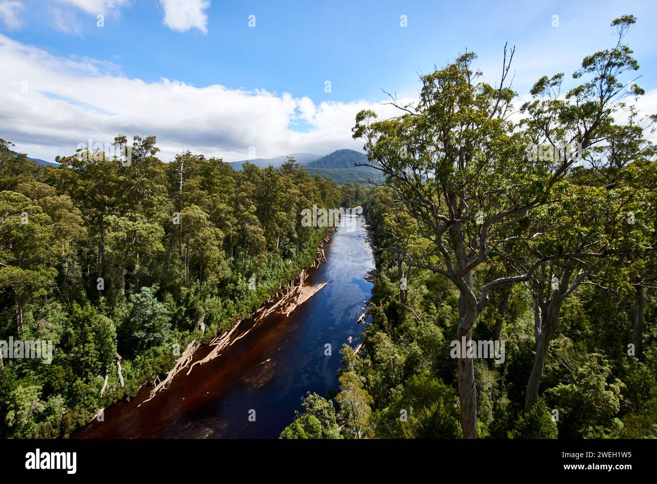 Prospettiva aerea di un sereno e profondo fiume blu incastonato tra lussureggiante vegetazione in un pittoresco ambiente forestale Foto Stock