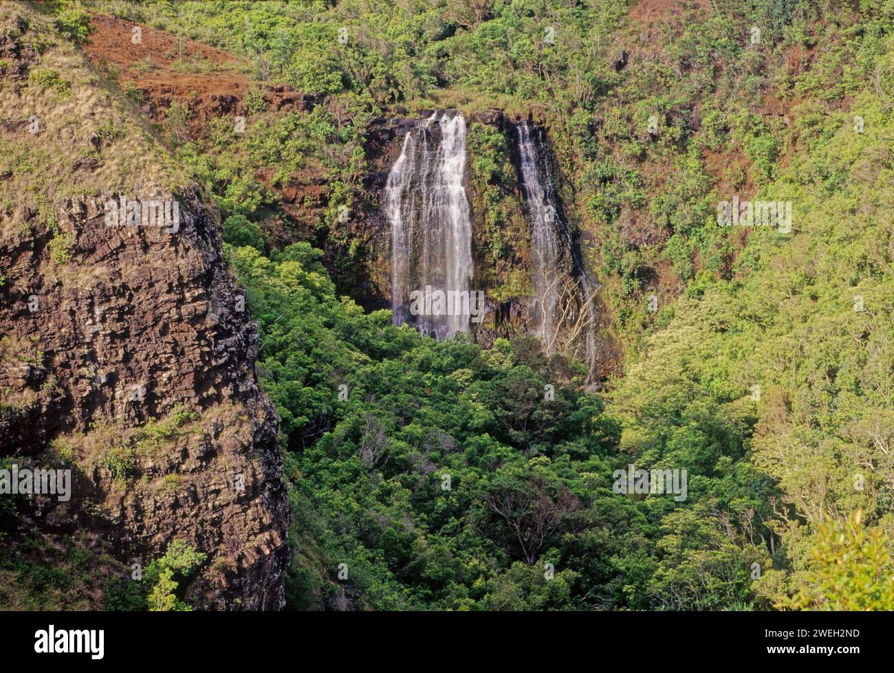 Le cascate di ʻŌpaekaʻa sono una cascata situata sul torrente ʻŌpaekaʻa nel Wailua River State Park, sul lato orientale dell'isola hawaiana di Kauai. Foto Stock