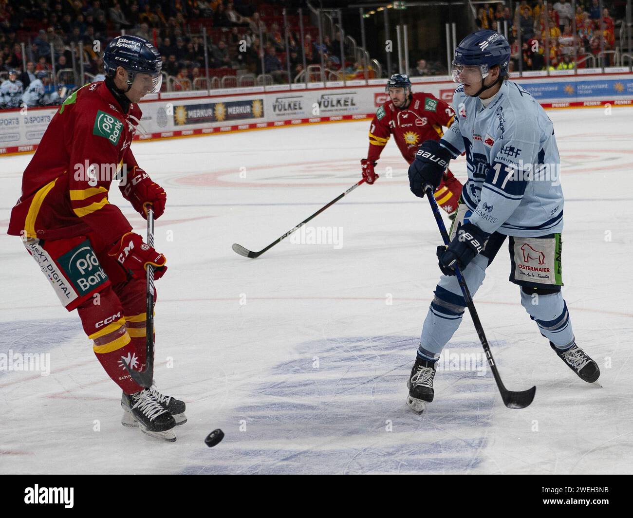 Der Schuss von Adrian Klein (Straubing Tigers, n. 17) wurde von Adam Payerl (Duesseldorfer EG, n. 09) geblockt. Duesseldorfer EG vs. Straubing Tigers, Eishockey, Penny DEL, 41. Spieltag, Saison 2023/2024, 25.01.2024 foto: Eibner-Pressefoto/Thomas Haesler Foto Stock