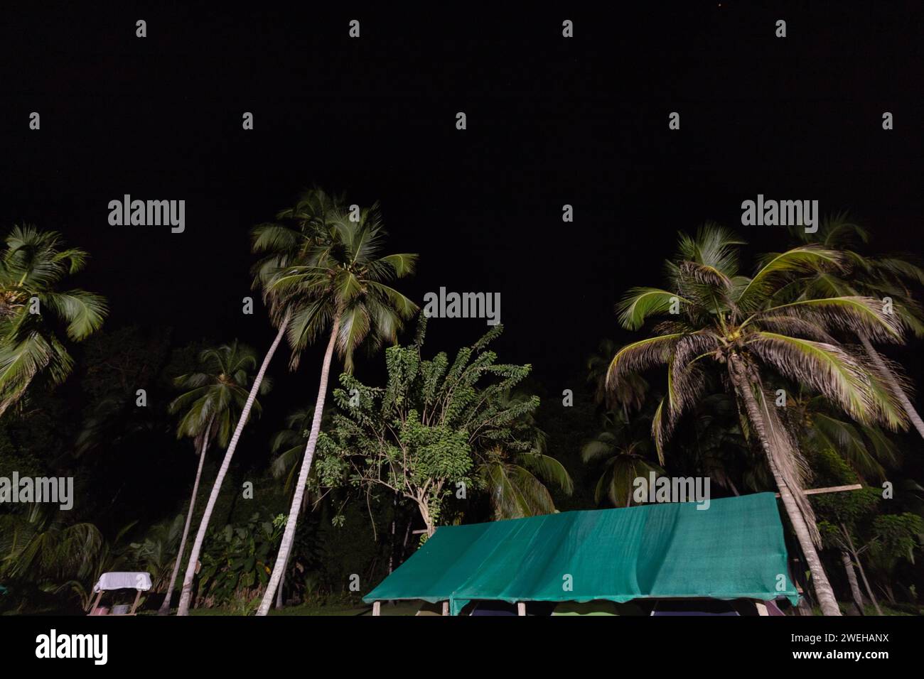 Il campeggio tende con palme alte e stelle deboli nel parco nazionale di tayrona Foto Stock