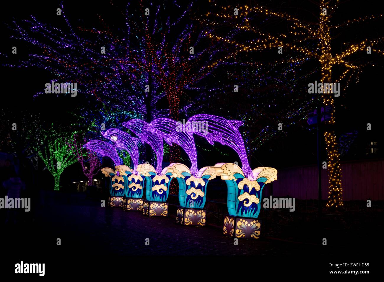 Zoolights allo Smithsonian National Zoological Park, Washington, DC Foto Stock