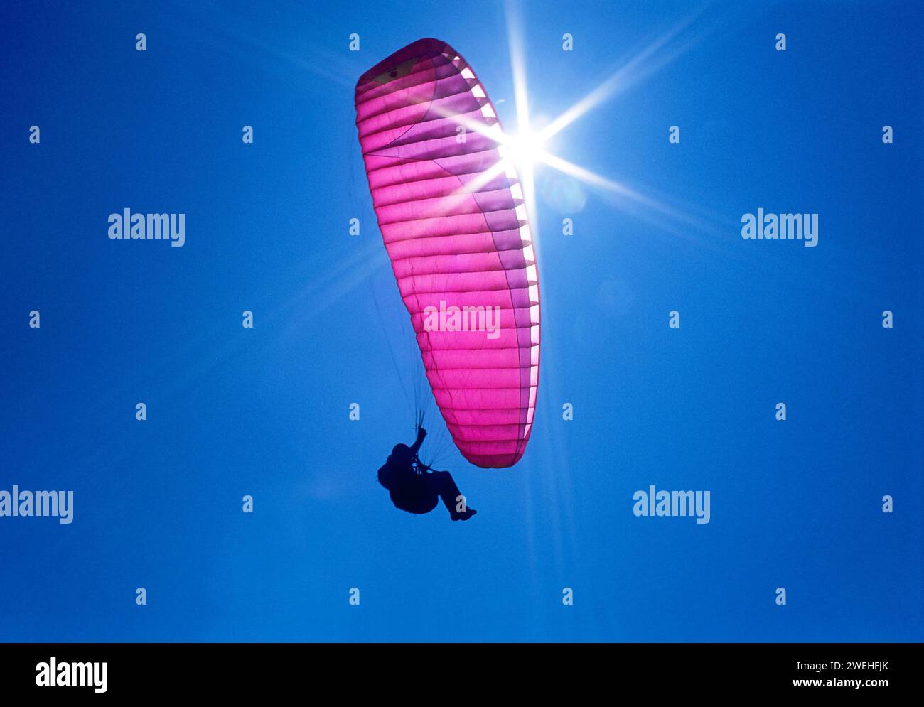 un parapendio viola e rosa vola nel cielo blu, retroilluminato dal sole e da molti raggi solari Foto Stock