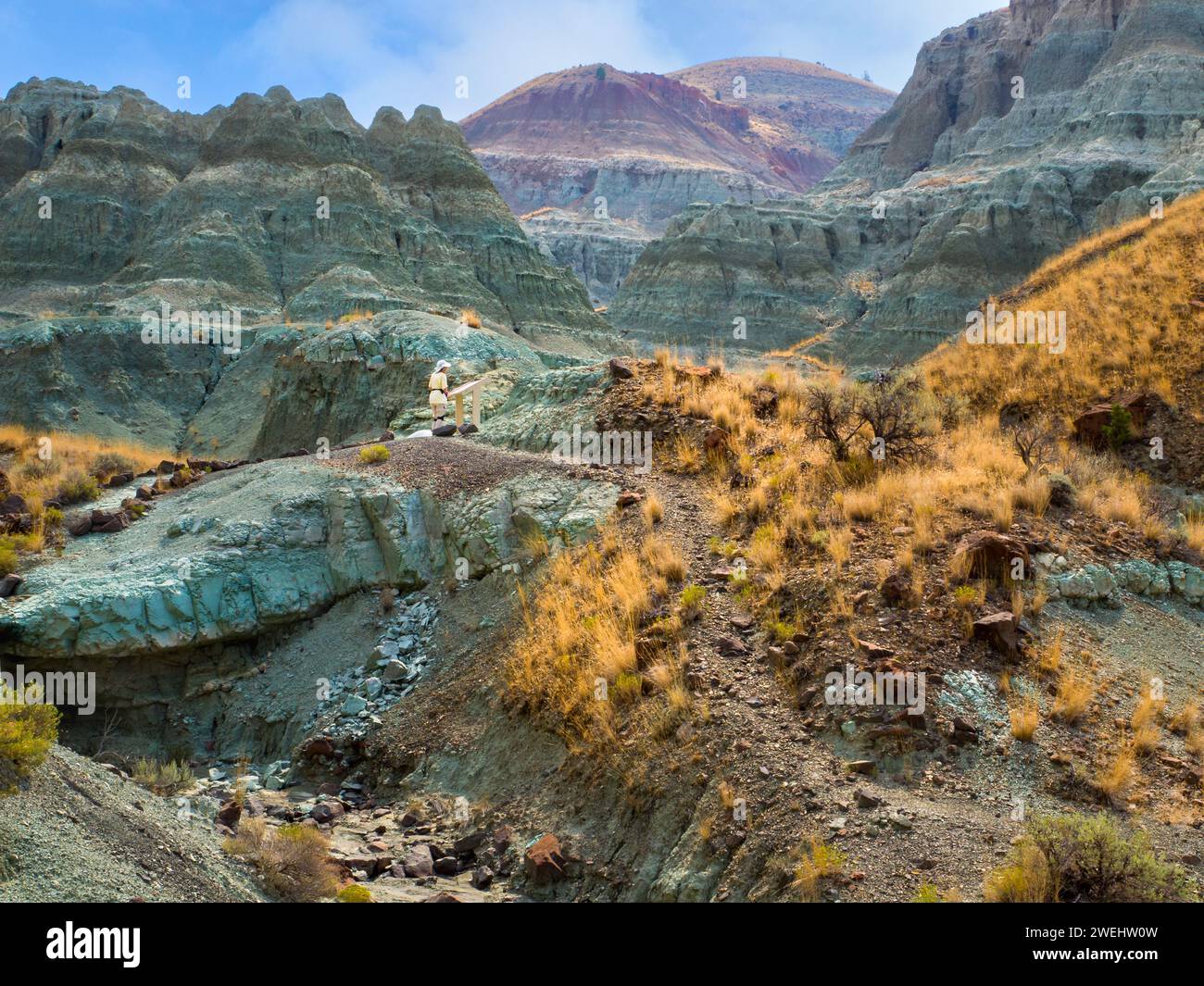 Island in Time Trail, John Day Fossil Beds, Oregon Foto Stock