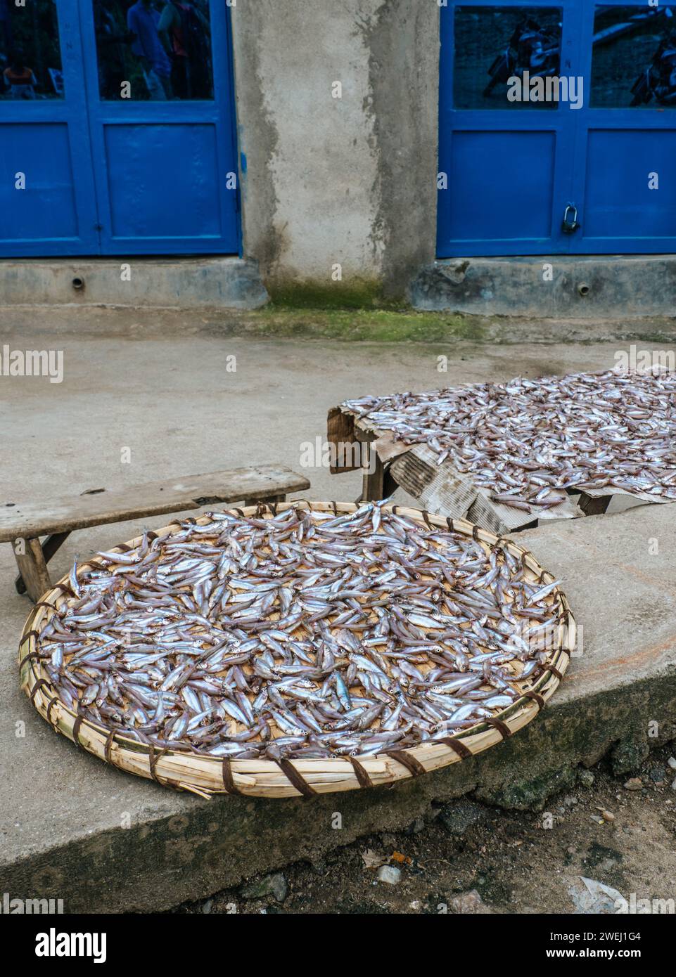 Sardine che si asciugano al sole a Gisenyi, una città sulle rive del lago Kivu, Ruanda Foto Stock