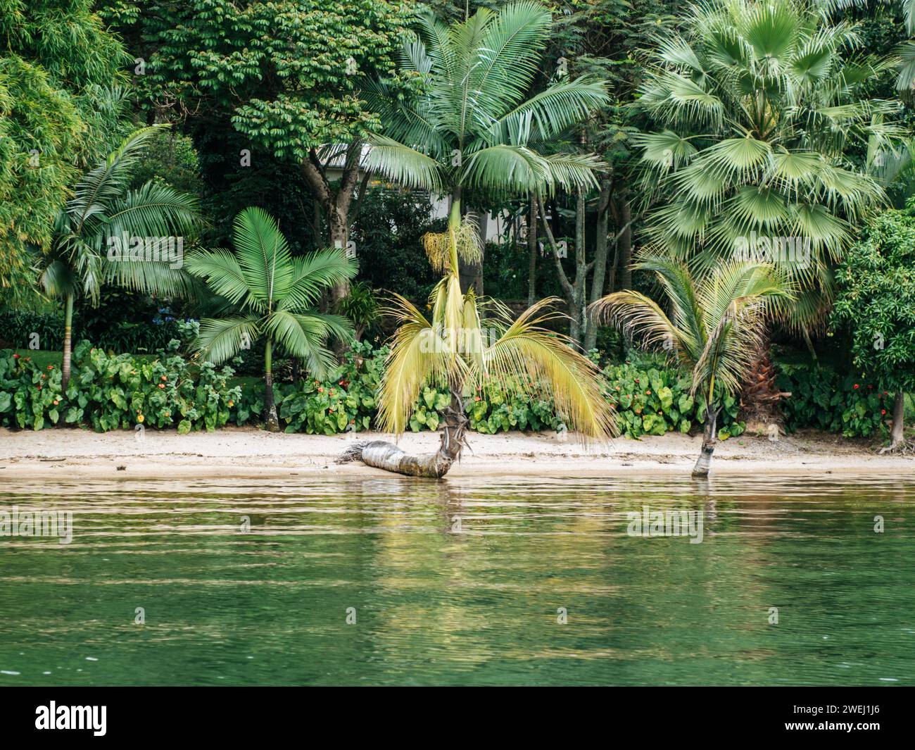 Gisenyi, una città sulla riva nord del lago Kivu in Ruanda, Africa orientale Foto Stock