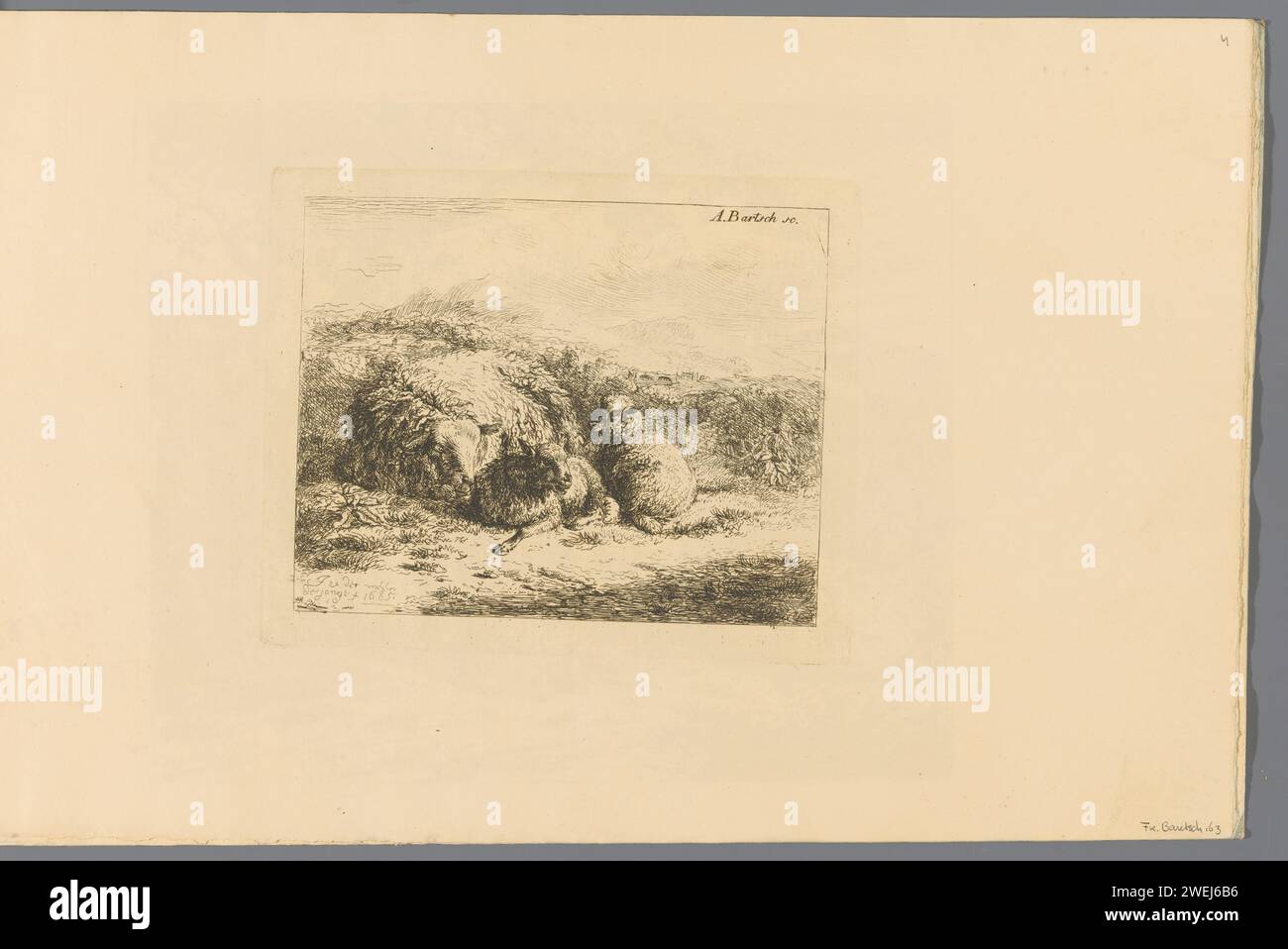 Pecore con due agnelli, Adam von Bartsch, dopo Jan van der Meer (II), 1803 - 1805 stampa questa stampa fa parte di un album. pecore preparate per l'incisione della carta Foto Stock