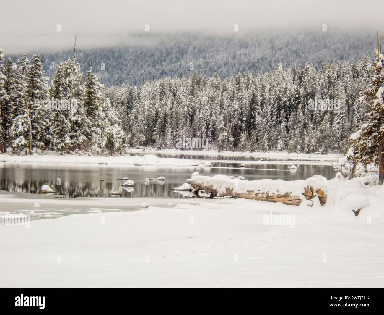 Una scena invernale con la foresta innevata al Lake Wenatchee state Park nella parte orientale dello stato di Washington, USA. Foto Stock