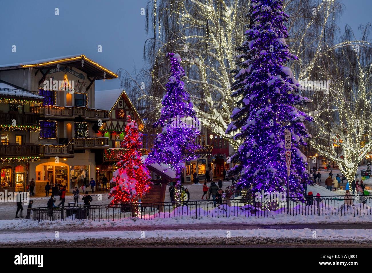 Scena invernale con luci colorate nel centro di Leavenworth, Chelan County, Eastern Washington State, USA. Foto Stock