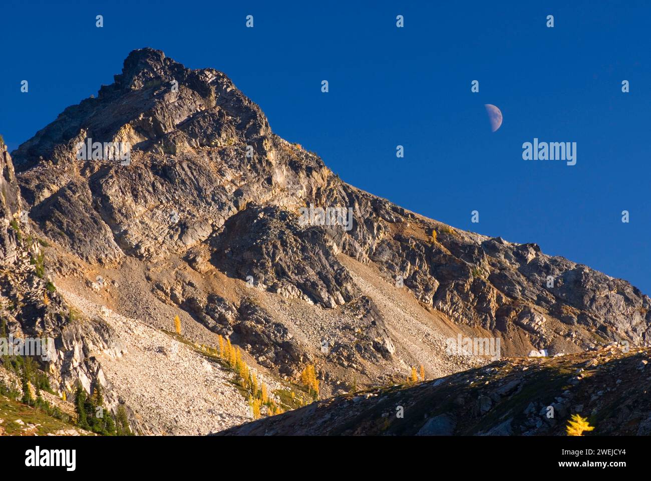 Frisco Mountain con luna da Maple Pass, North Cascades National Park, Washington Foto Stock