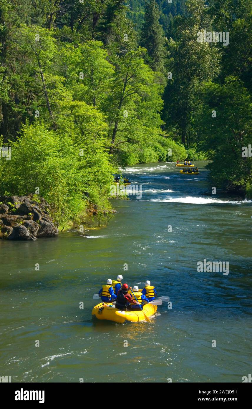 Rafting, White Salmon Wild e Scenic River, Klickitat County, Washington Foto Stock