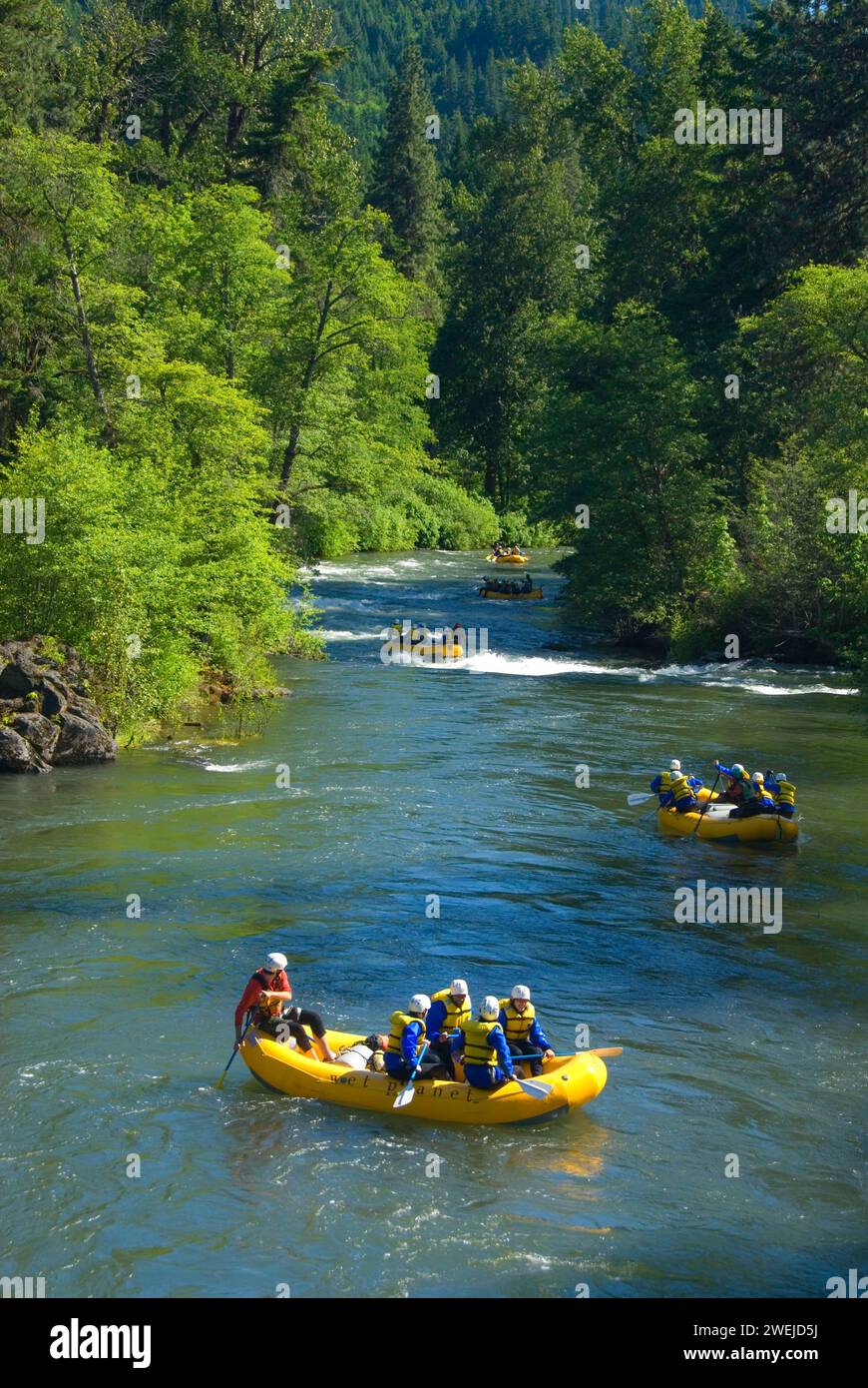 Rafting, White Salmon Wild e Scenic River, Klickitat County, Washington Foto Stock